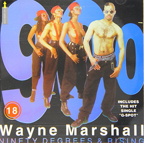 Wayne Marshall - 90 Degrees and Rising - Zortam Music