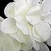 Tinksky Hydrangea Flowers for Home Wedding Decoration White, 20pcs of Pack