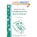 Build Your Own underground Root Cellar