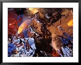 Fish in a Pool of Water, Manado, North Sulawesi, Indonesia Photography Framed Art Poster Print by Greg Elms, 39x31 51dCyBm9r5L. SL160 Fish in a Pool of Water, Manado, North Sulawesi, Indonesia Photography Framed Art Poster Print by Greg Elms, 39x31