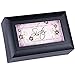 Cottage Garden Sister Feel The Love Black Petite Music Box Plays Wonderful World