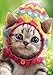 Kitten Wears Knit Egg Cap - Avanti Cute Cat Easter Card (Greeting Card)