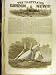 1857 Royal Thames Yacht Club Match Wildfire Vestal