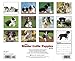 Just Border Collie Puppies 2014 Wall Calendar