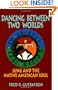 Dancing Between Two Worlds: Jung and the Native American Soul (Jung and Spirituality Series)