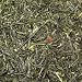 gyokuro tea