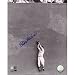 Steiner Sports MLB Stan Musial Catch Against the Wall Autographed 8-by-10-Inch Photograph