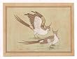 Asian Art Miniatures India Folk Paintings Drawings & Water Color on Paper 7 x 9.5 inches