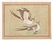 Asian Art Miniatures India Folk Paintings Drawings & Water Color on Paper 7 x 9.5 inches