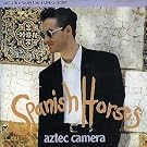 Spanish Horses - Part 1