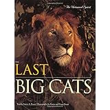 the last big cats an untamed spirit