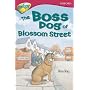Oxford Reading Tree: Stage 10: TreeTops Fiction: Pack of 6 (1 of each title)