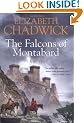 The Falcons of Montabard