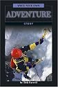 Write Your Own Adventure Story