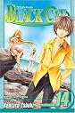 Black Cat (Volume 14)