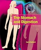 The stomach and digestion