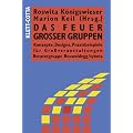 Das Feuer gro�er Gruppen: Konzepte, Designs, Praxisbeispiele f�r Grossverantstaltungen