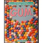 G.U.M.: Instruction and Practice for Grammar, Usage, and Mechanics : Level B book cover