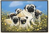 Fiddlers Elbow-Pug Family