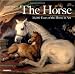 The Horse: 30,000 Years of the Horse in Art by Tamsin Pickeral