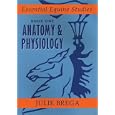 Anatomy and Physiology: Book 1 Anatomy and Physiology (Essential Equine Studies) by Julie Brega