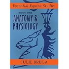 Anatomy and Physiology: Book 1 Anatomy and Physiology (Essential Equine Studies) by Julie Brega