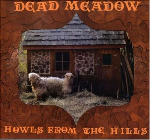 Dead Meadow - Dusty Nothing Lyrics - Zortam Music