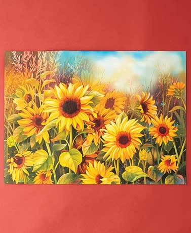 Summer dishwasher Magnet