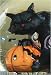 Jim Shore Halloween Black Cat With Pumpkin Water Globe