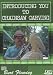 Introducing You to Chainsaw Carving DVD
