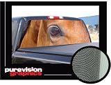 HORSE-16"x54" -Rear Window Graphic- compact p/u truck back vinyl tint