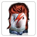 Takkoda Untersetzer BOWIE