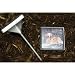 Kitchen & Housewares : Memorial Marker - With photo frame