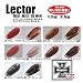 【無双’１０春色限定カラー！】 マグネット（Magnet） レクター Lector ML_1003 ・1.5g