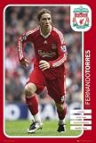 GB eye Ltd, Liverpool FC, Torres 08/09, Maxi Poster, (61x91.5cm)