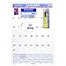 AT-A-GLANCE Monthly Wall Calendar 2017, Erasable, 15.5 x 22.75 Inches (PMLM03-28)