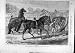 1870 Eltham Yearling King-John Saunterer Blair-Athol