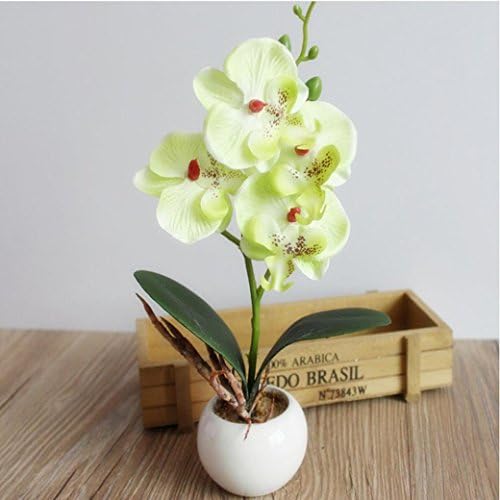 Artificial Flowers With Vase, RIUDA Four Butterfly Orchid Meaty Plant Bonsai Creative Flower Arranging Accessories (Green)