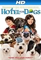 play video on Amazon Instant Video