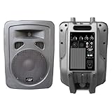 Pyle-Pro - 600 Watt 10'' 2-Way Plastic Molded Powered PA speaker System