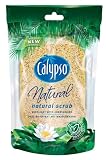 Produkt-Bild: Spontex 31200400 Calypso Natural Scrub Massage-Schwamm