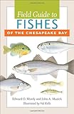 Field guide to fishes of the Chesapeake Bay