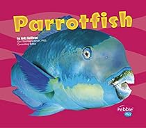 Parrotfish (Under the Sea)