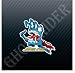 Skateboard Decks Santa Cruz Skateboards NHS Screaming Hand Car Trucks Sticker Decal