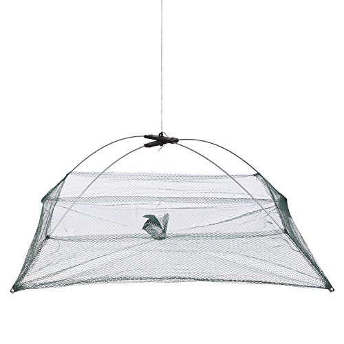 Top 5 Best bait fish trap for sale 2016 BOOMSbeat