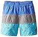 Volcom Little Boys' Razzy Boardshort