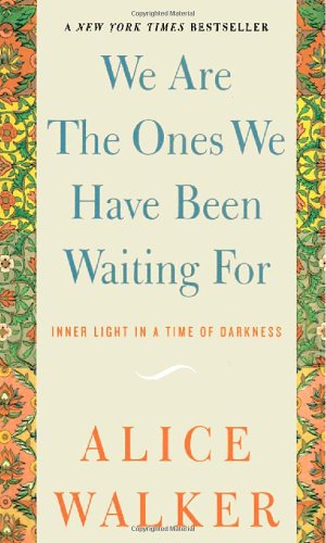 we are the ones we have been waiting for inner light in a time of darkness