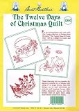 51dFoO1wrOL. SL160  The Twelve Days of Christmas Aunt Marthas Hot Iron Embroidery Transfer Quilting Collection