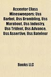 Accentor Class Minesweepers: USS Barbet, USS Brambling, USS Marabout, USS Industry, USS Trident, USS Advance, USS Assertive, USS Bateleur