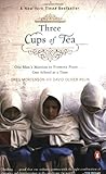Three Cups of Tea: One Man's Mission to Promote Peace - One School at a Time